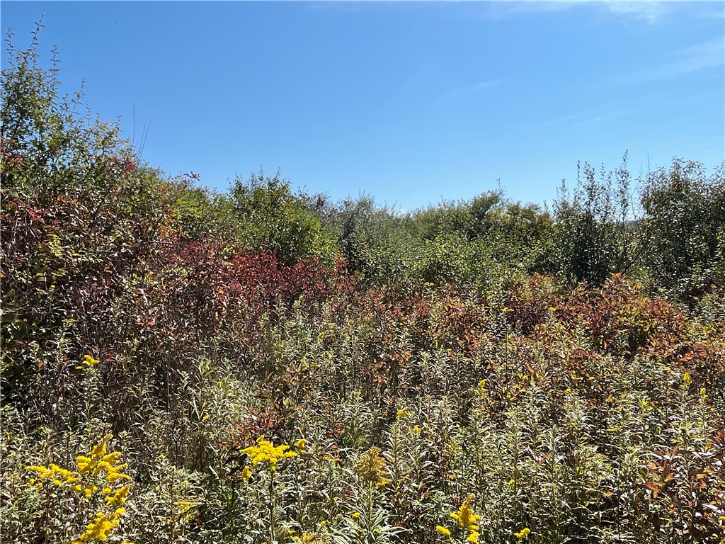 Chambers Road, Big Flats, New York image 9