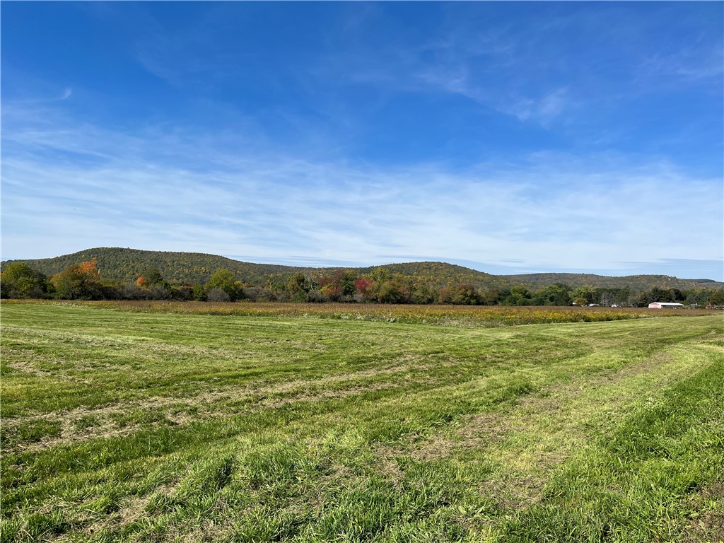 Chambers Road, Big Flats, New York image 2