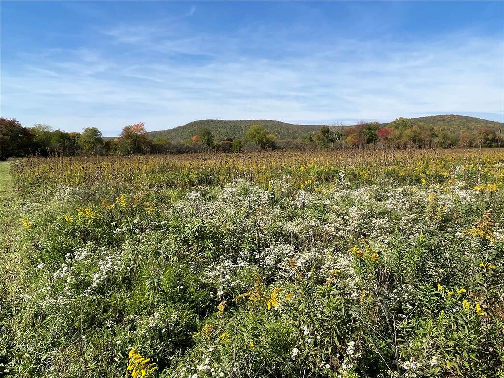 Chambers Road, Big Flats, New York image 5