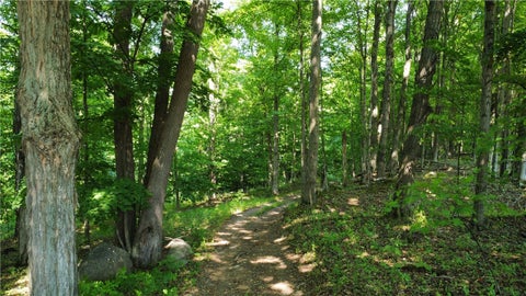 Photo for S Centenary Road