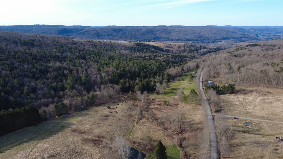 432 Dog Hill Road, Maryland, New York image 41