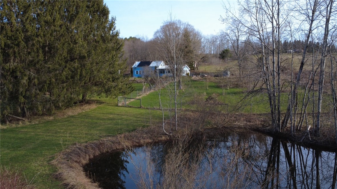 432 Dog Hill Road, Maryland, New York image 44
