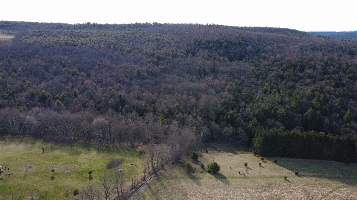 432 Dog Hill Road, Maryland, New York image 40