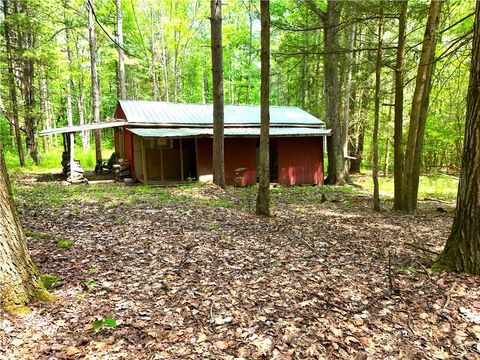 Vacant Land For Sale - 8021 Hickory Hill Road Rd<br/> Bath, NY 14810