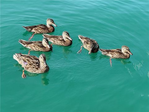 Tiny photo for 6872 - 6874 State Highway 80, Otsego, NY 13326 (MLS # R1656402)