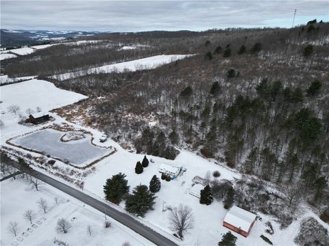 Photo of 5565 Thomas Road, Woodhull, NY 14898 (MLS # R1651846)