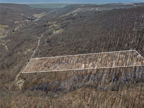 Vacant Land For Sale - 7420 Feather Street<br/> Livingston County, Springwater, NY 14512