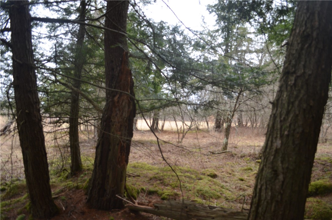 371 Hoben Road, Mc Donough, New York image 47