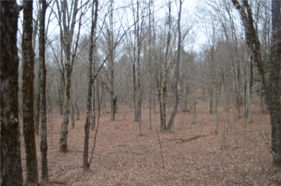 371 Hoben Road, Mc Donough, New York image 38