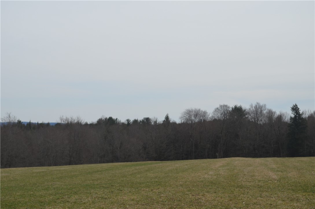 371 Hoben Road, Mc Donough, New York image 22