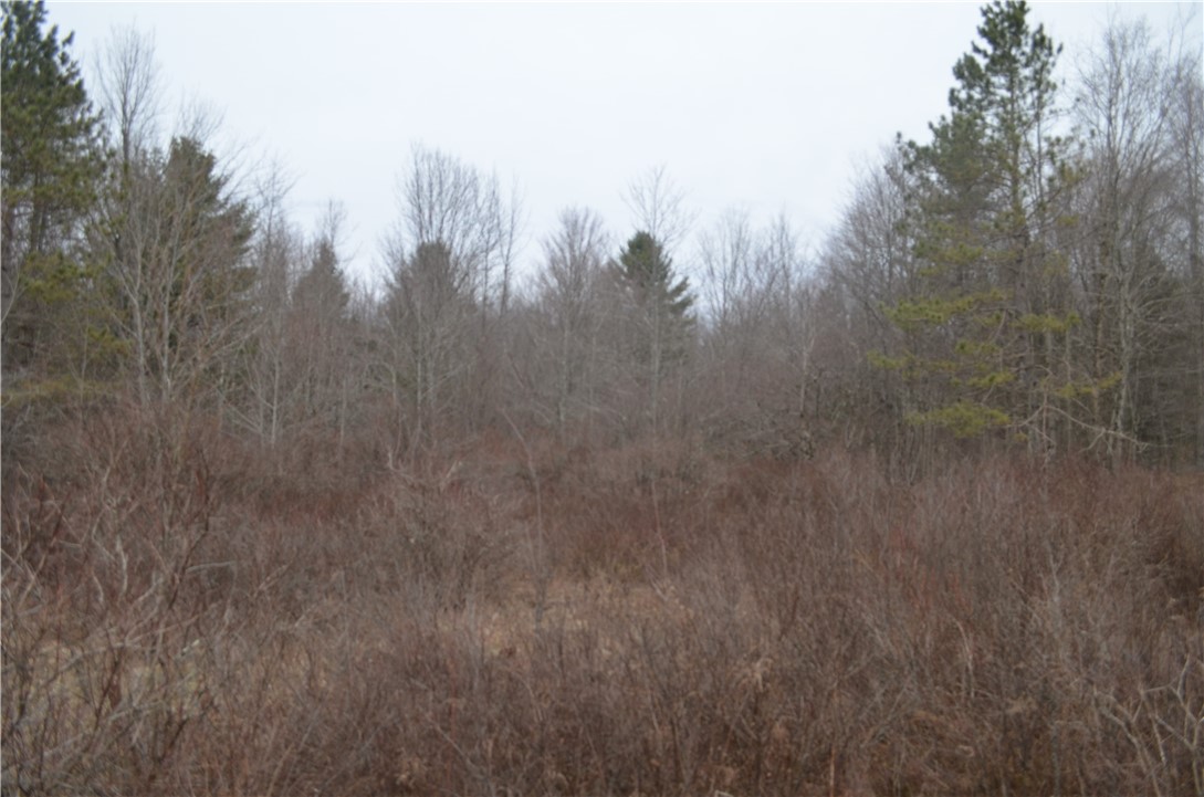 371 Hoben Road, Mc Donough, New York image 41