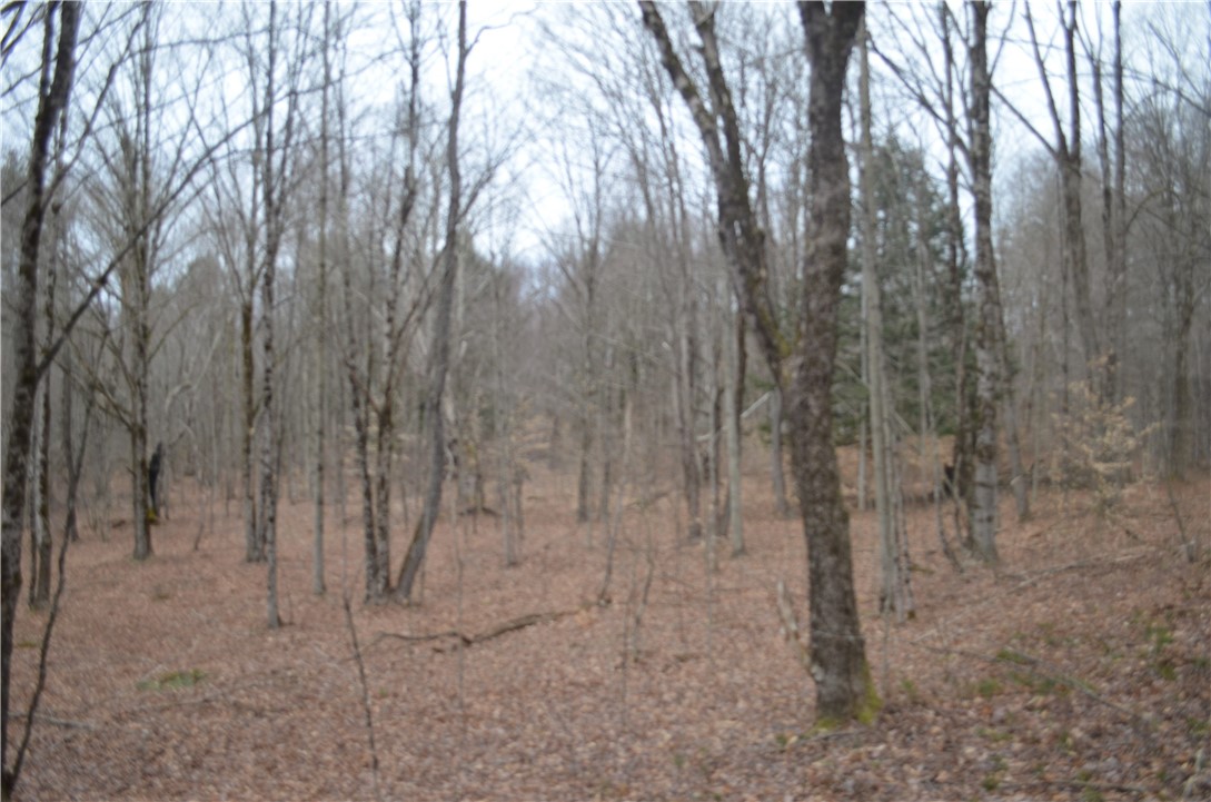 371 Hoben Road, Mc Donough, New York image 39