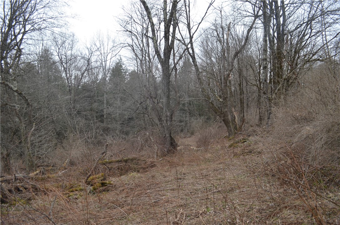 371 Hoben Road, Mc Donough, New York image 23