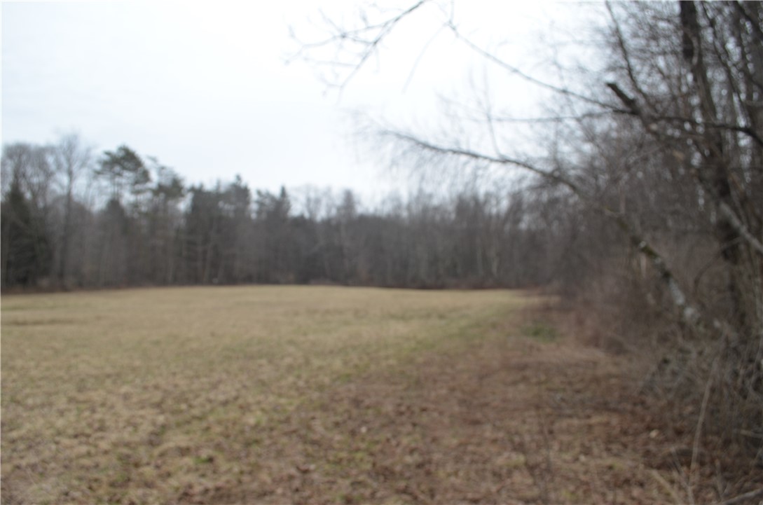 371 Hoben Road, Mc Donough, New York image 2