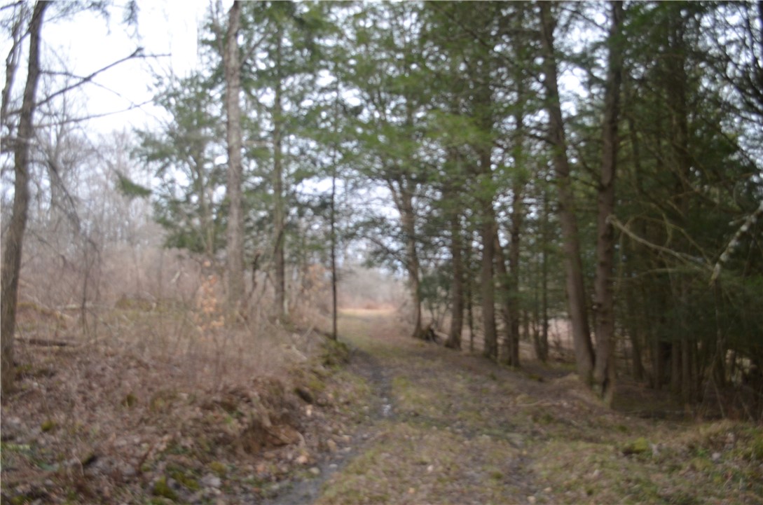 371 Hoben Road, Mc Donough, New York image 25