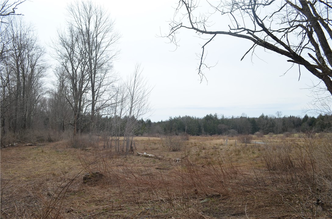 371 Hoben Road, Mc Donough, New York image 15