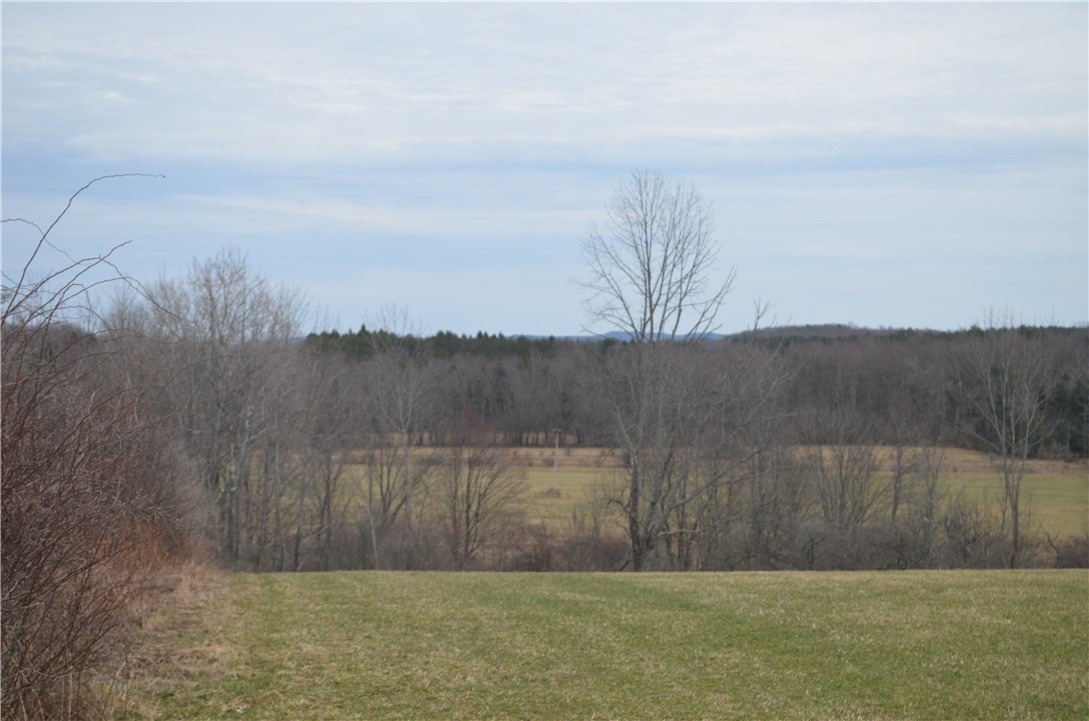371 Hoben Road, Mc Donough, New York image 21