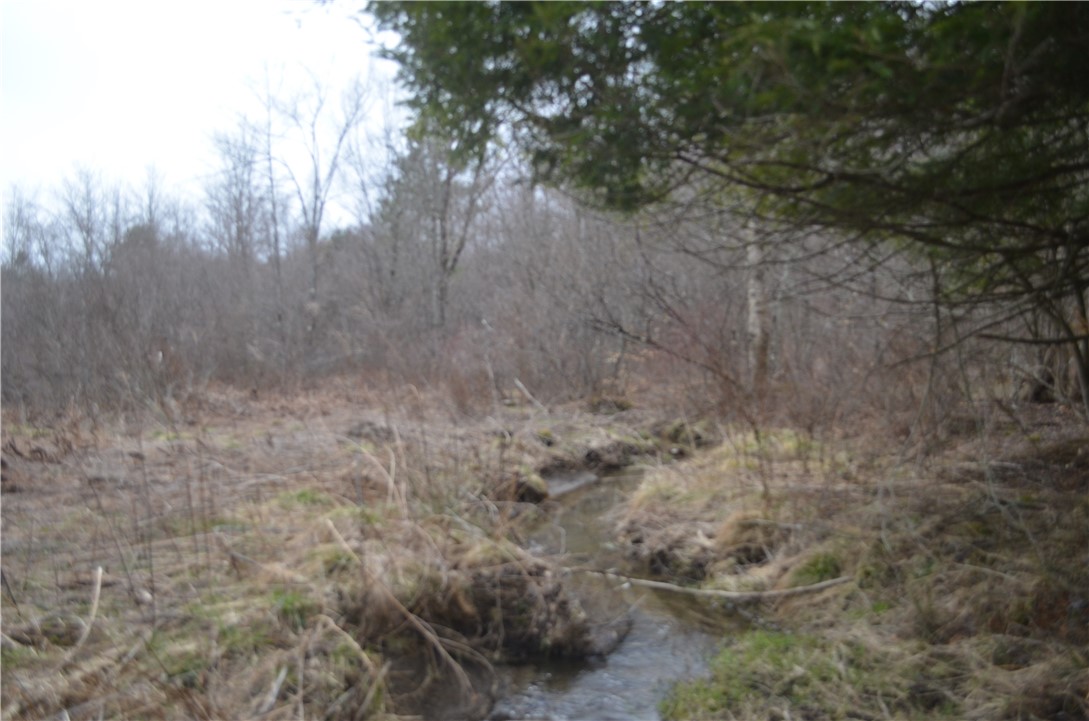 371 Hoben Road, Mc Donough, New York image 42