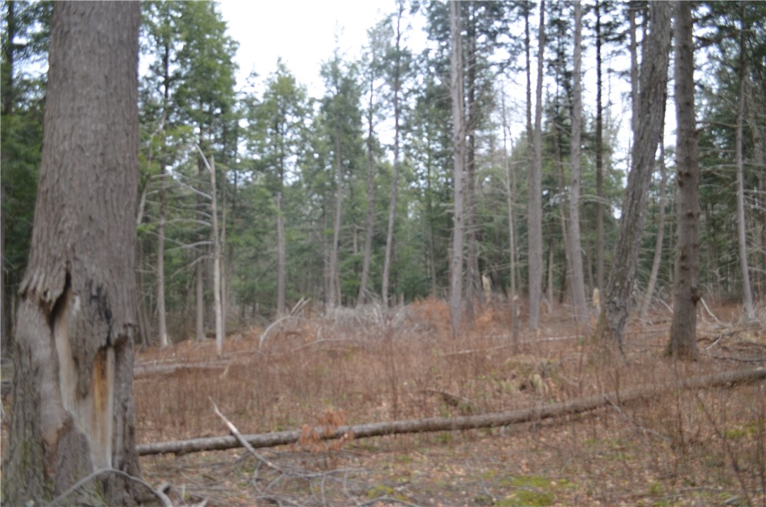 371 Hoben Road, Mc Donough, New York image 29