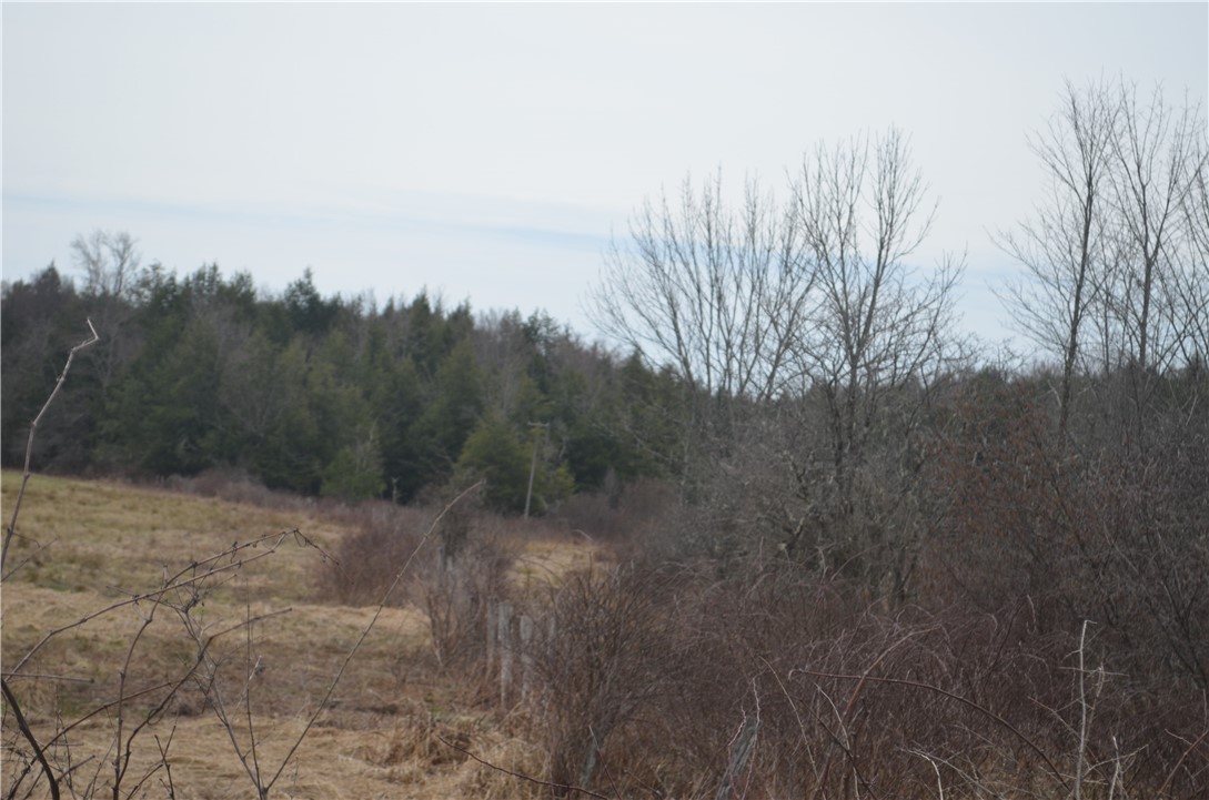 371 Hoben Road, Mc Donough, New York image 20