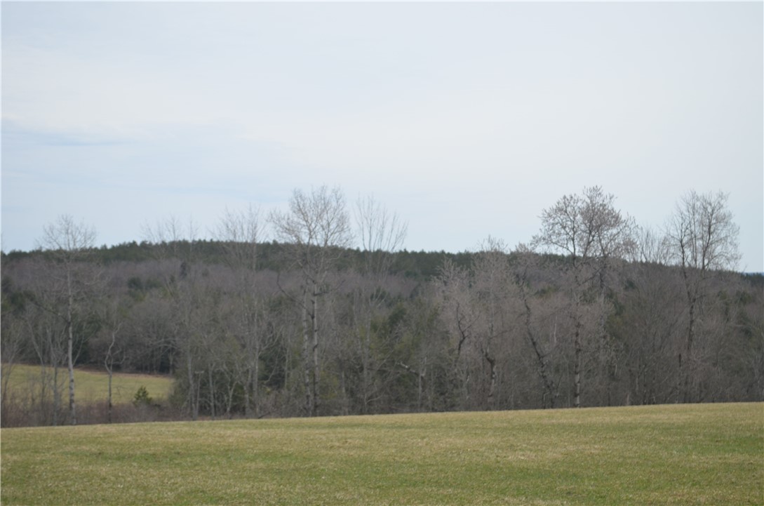 371 Hoben Road, Mc Donough, New York image 1