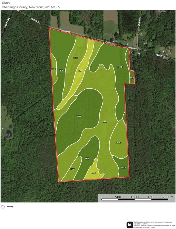 371 Hoben Road, Mc Donough, New York image 6