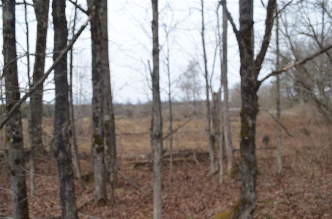 371 Hoben Road, Mc Donough, New York image 13