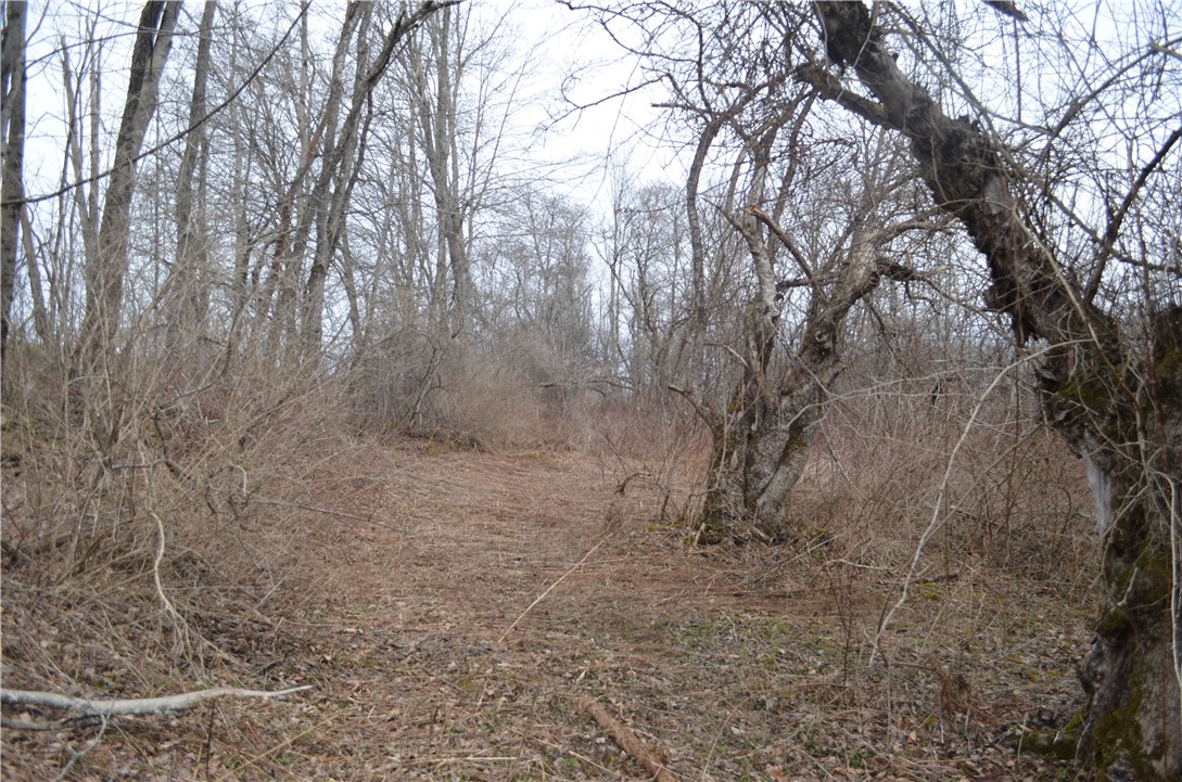371 Hoben Road, Mc Donough, New York image 24