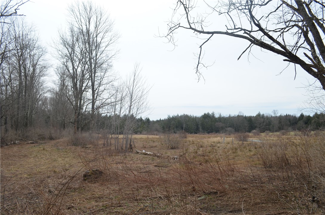 371 Hoben Road, Mc Donough, New York image 16