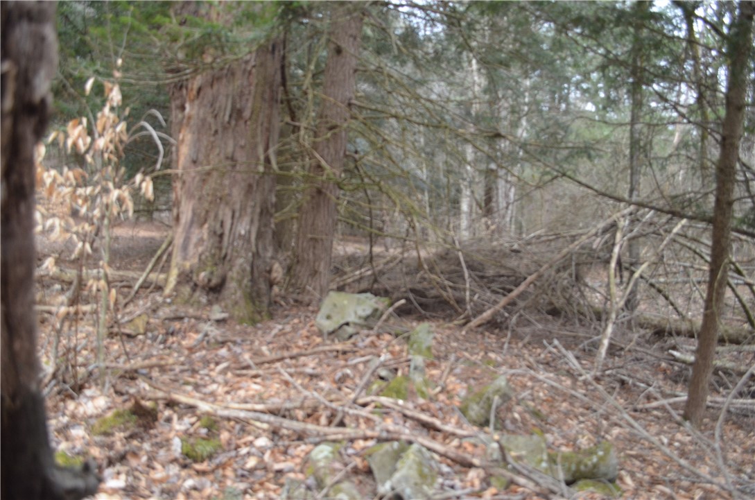 371 Hoben Road, Mc Donough, New York image 34