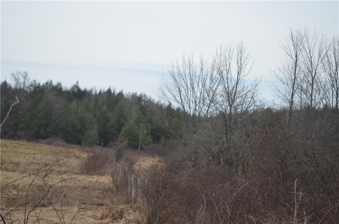 371 Hoben Road, Mc Donough, New York image 19