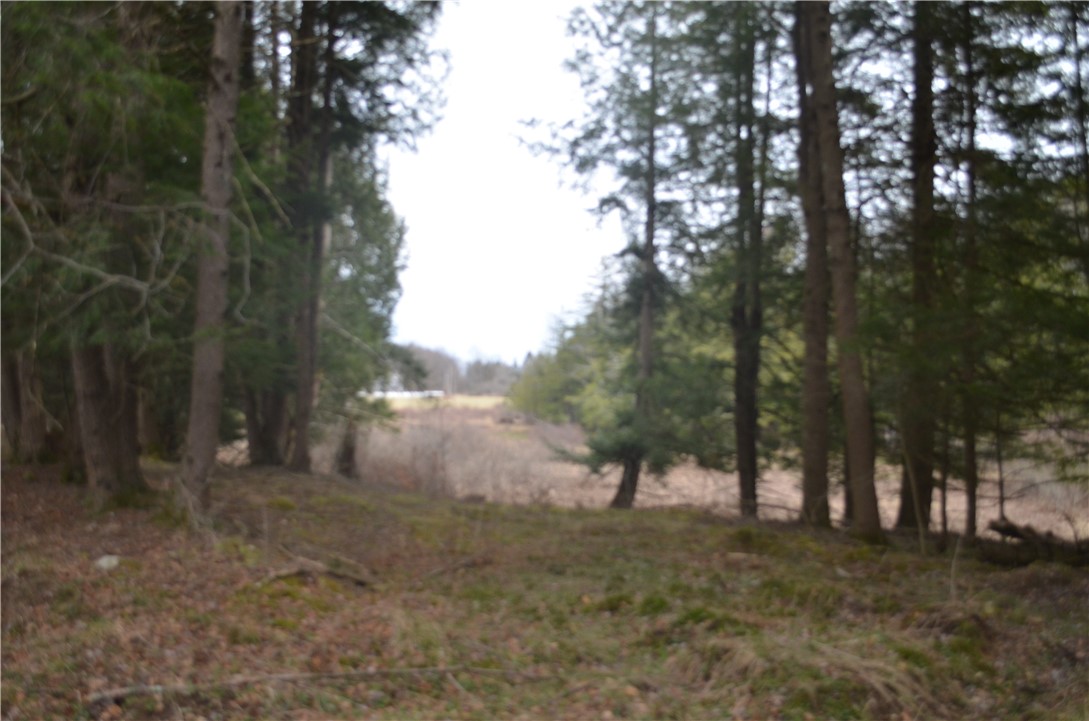 371 Hoben Road, Mc Donough, New York image 28
