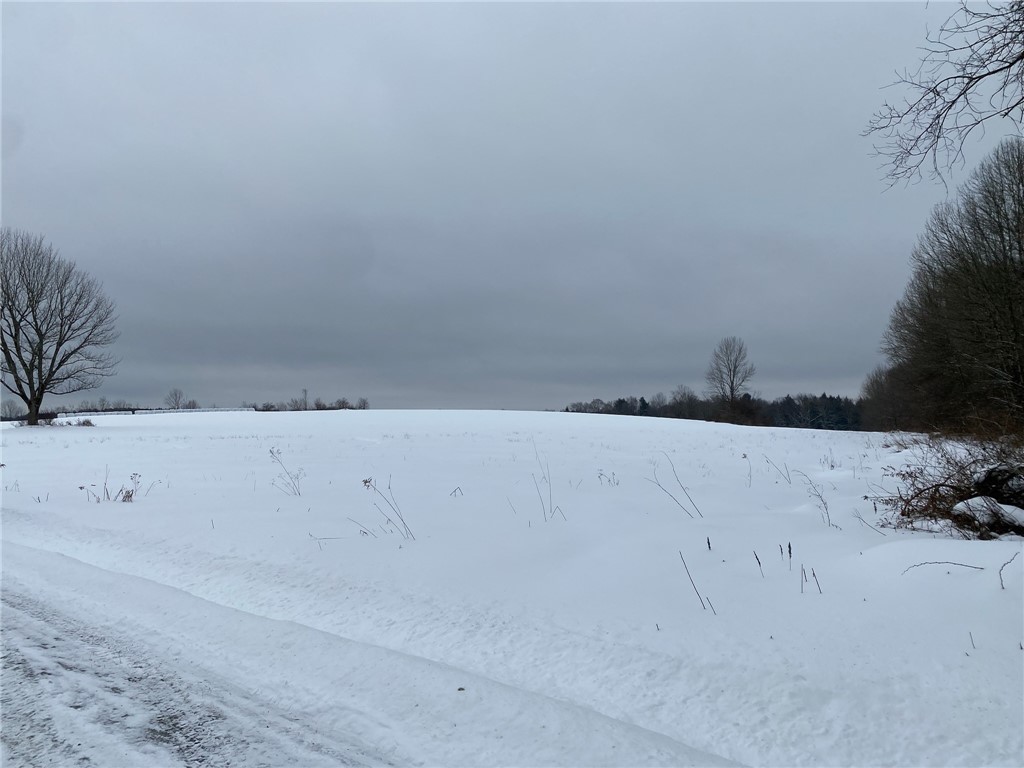371 Hoben Road, Mc Donough, New York image 49