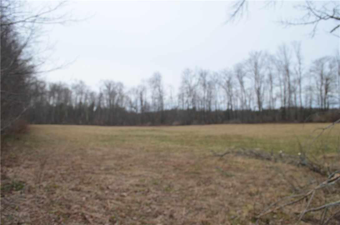 371 Hoben Road, Mc Donough, New York image 10