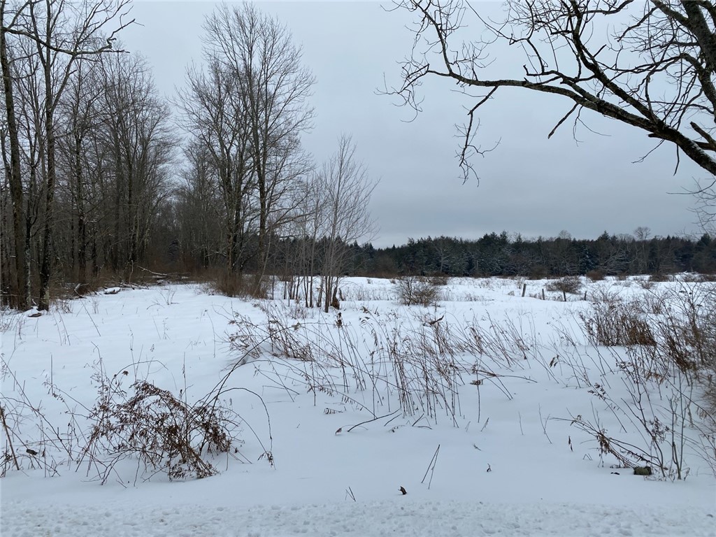 371 Hoben Road, Mc Donough, New York image 50