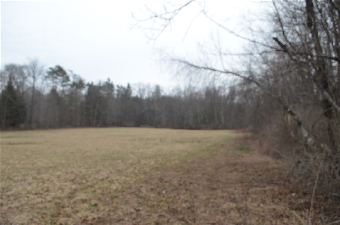 371 Hoben Road, Mc Donough, New York image 14