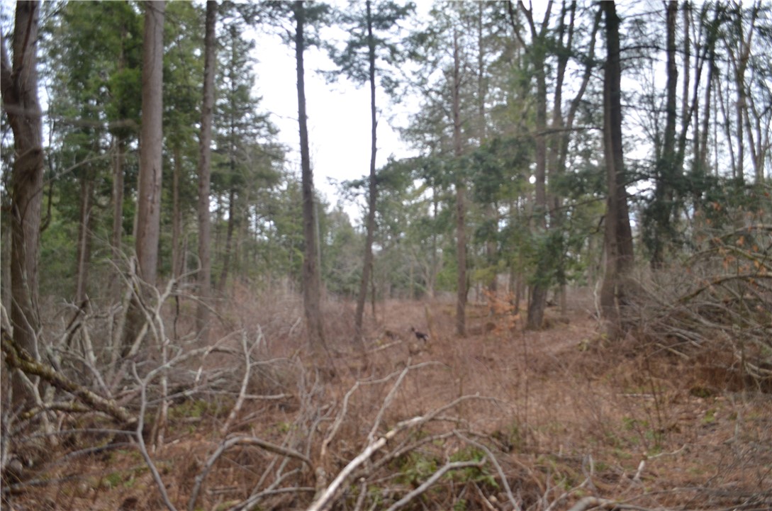 371 Hoben Road, Mc Donough, New York image 35