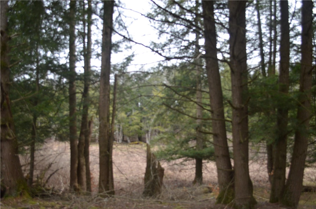 371 Hoben Road, Mc Donough, New York image 26