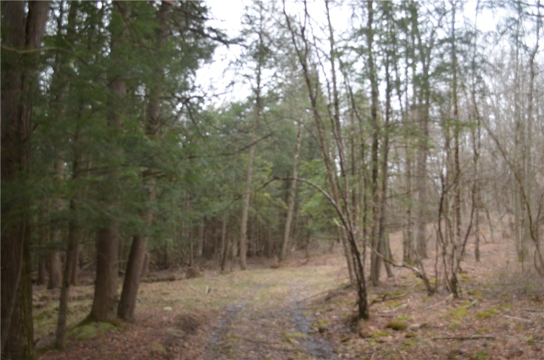 371 Hoben Road, Mc Donough, New York image 27