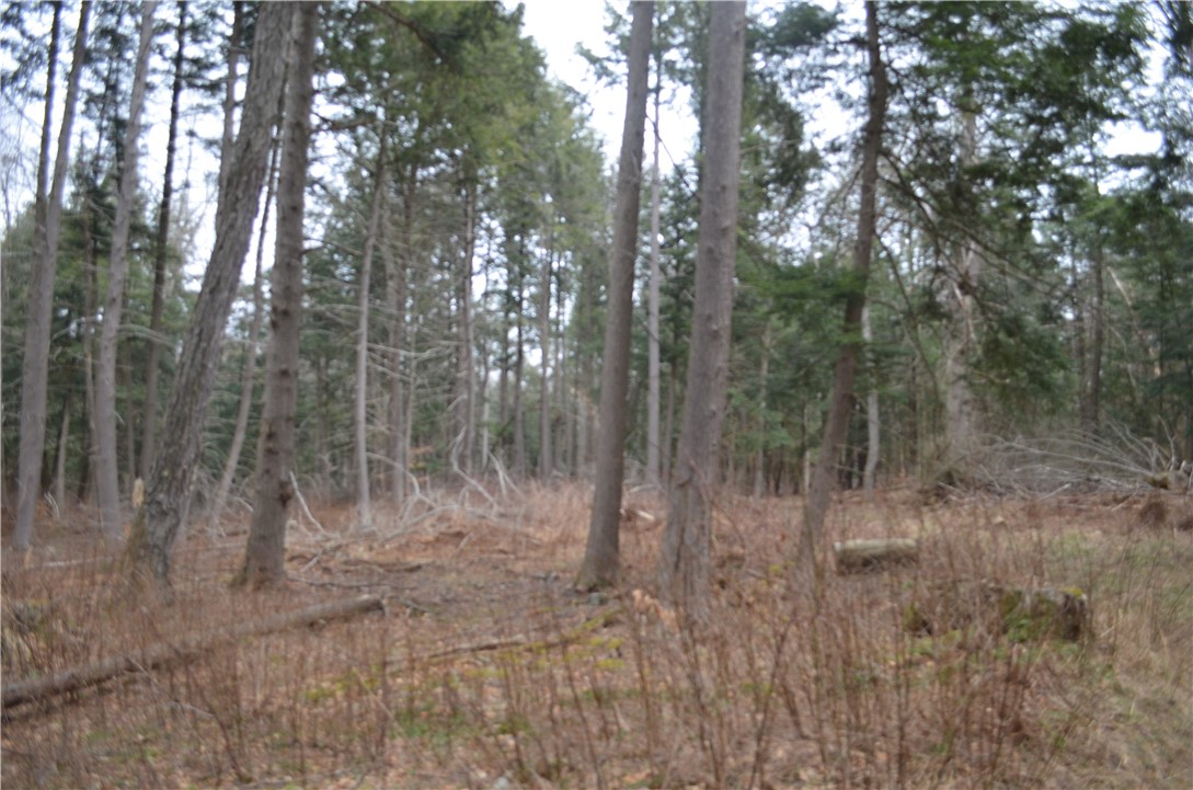 371 Hoben Road, Mc Donough, New York image 30