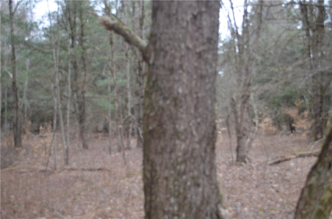 371 Hoben Road, Mc Donough, New York image 31