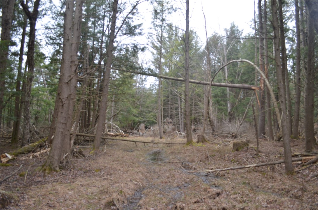 371 Hoben Road, Mc Donough, New York image 45