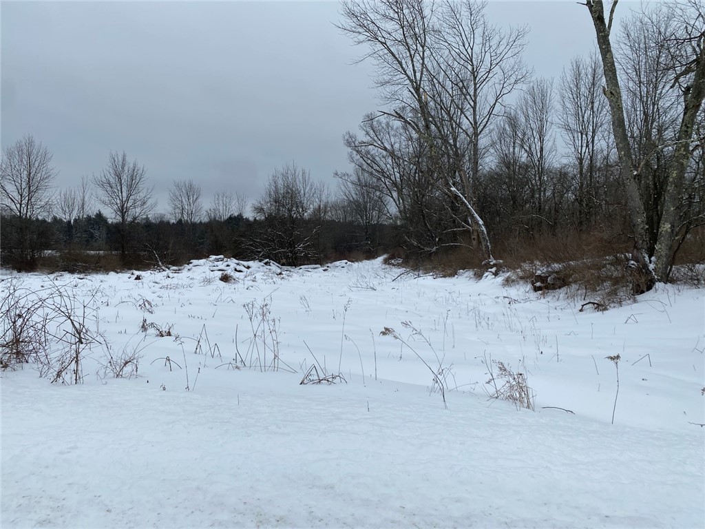 371 Hoben Road, Mc Donough, New York image 48