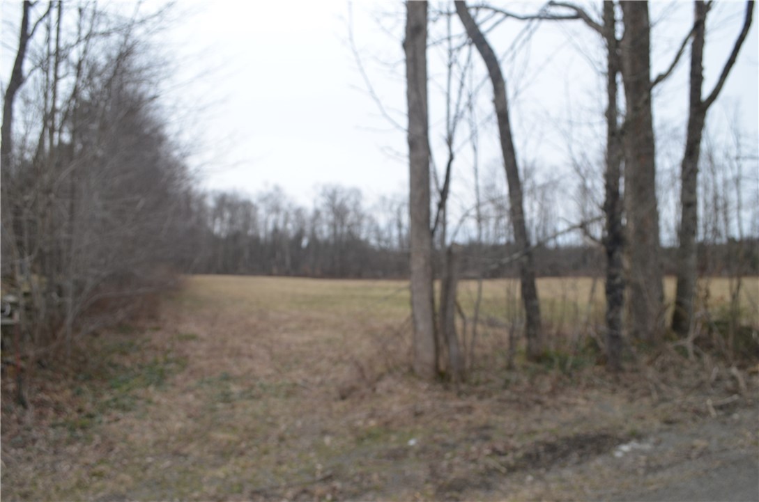 371 Hoben Road, Mc Donough, New York image 8