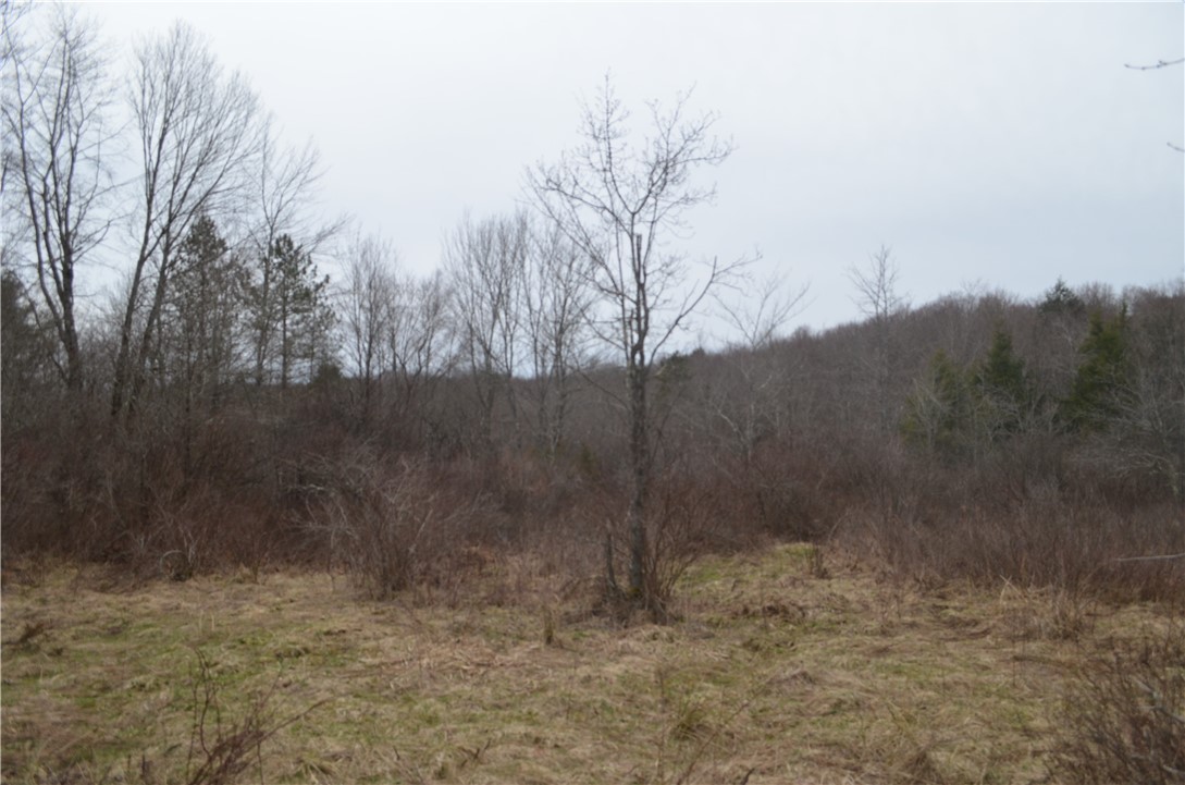 371 Hoben Road, Mc Donough, New York image 40