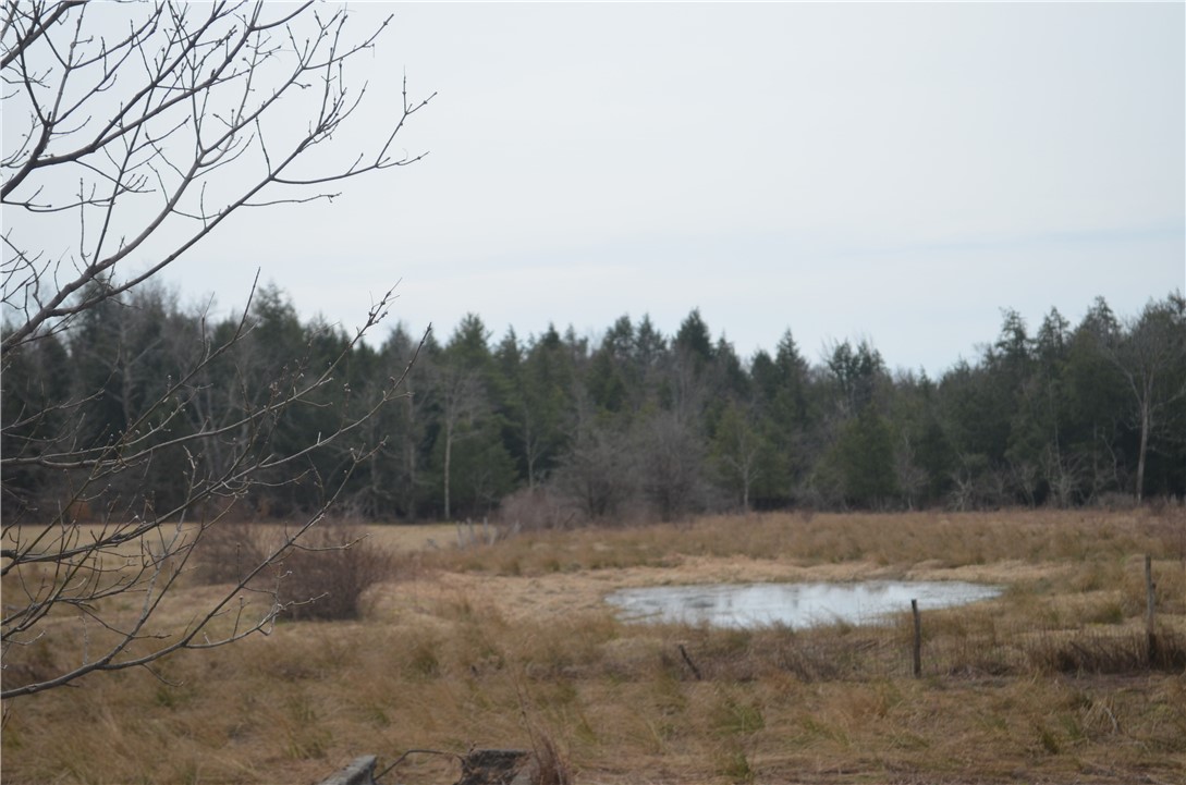371 Hoben Road, Mc Donough, New York image 18
