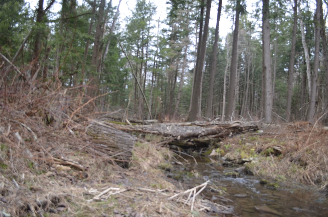 371 Hoben Road, Mc Donough, New York image 36