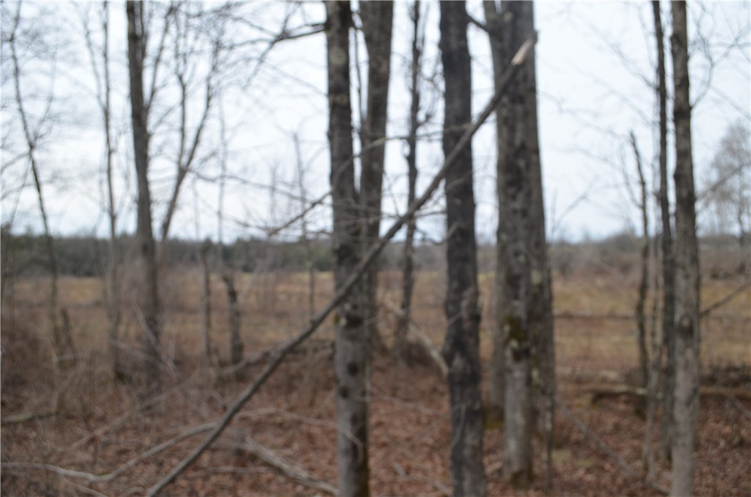 371 Hoben Road, Mc Donough, New York image 12
