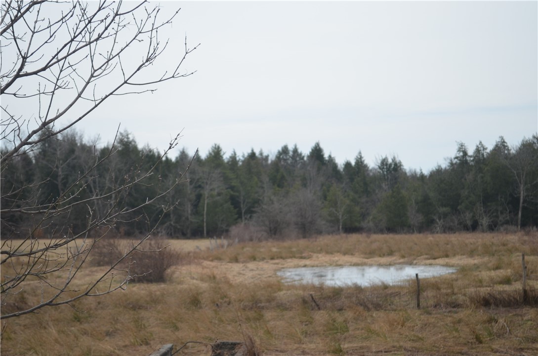 371 Hoben Road, Mc Donough, New York image 17