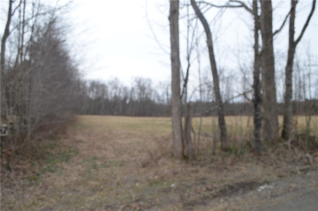 371 Hoben Road, Mc Donough, New York image 9